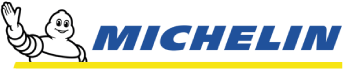 nt_view_logo